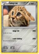 kittey cat