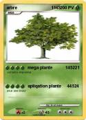 arbre 1145