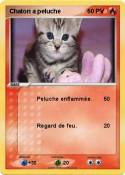 Chaton a peluch