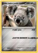 koala hates