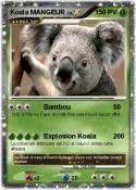 Koala MANGEUR