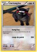 chat kung fou