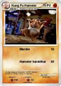Kung Fu Hamster