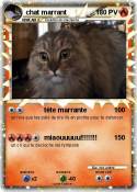 chat marrant