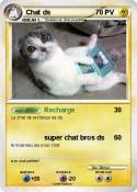 Chat ds