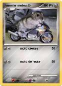 hamster moto