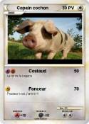 Copain cochon