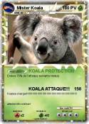 Mister Koala