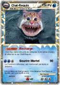 Chat-Requin