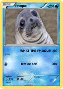 Phoque