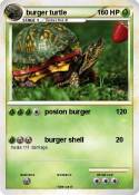 burger turtle