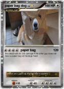 paper bag dog