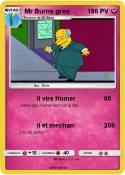 Mr Burns gros
