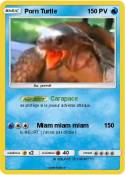 Porn Turtle