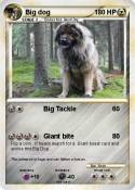 Big dog