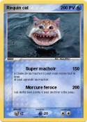 Requin cat
