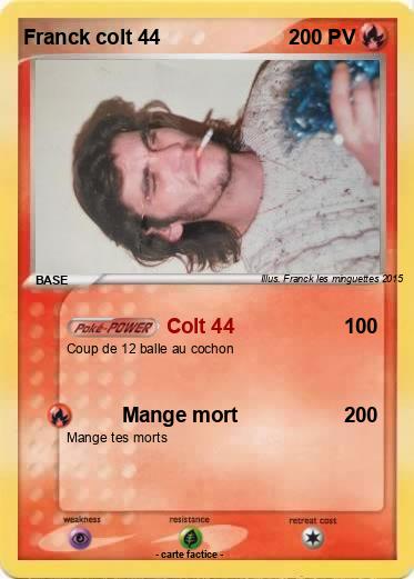 Pokemon Franck colt 44