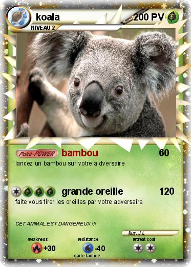 Pokemon koala
